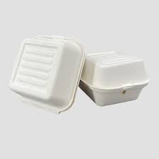 Baggase Box