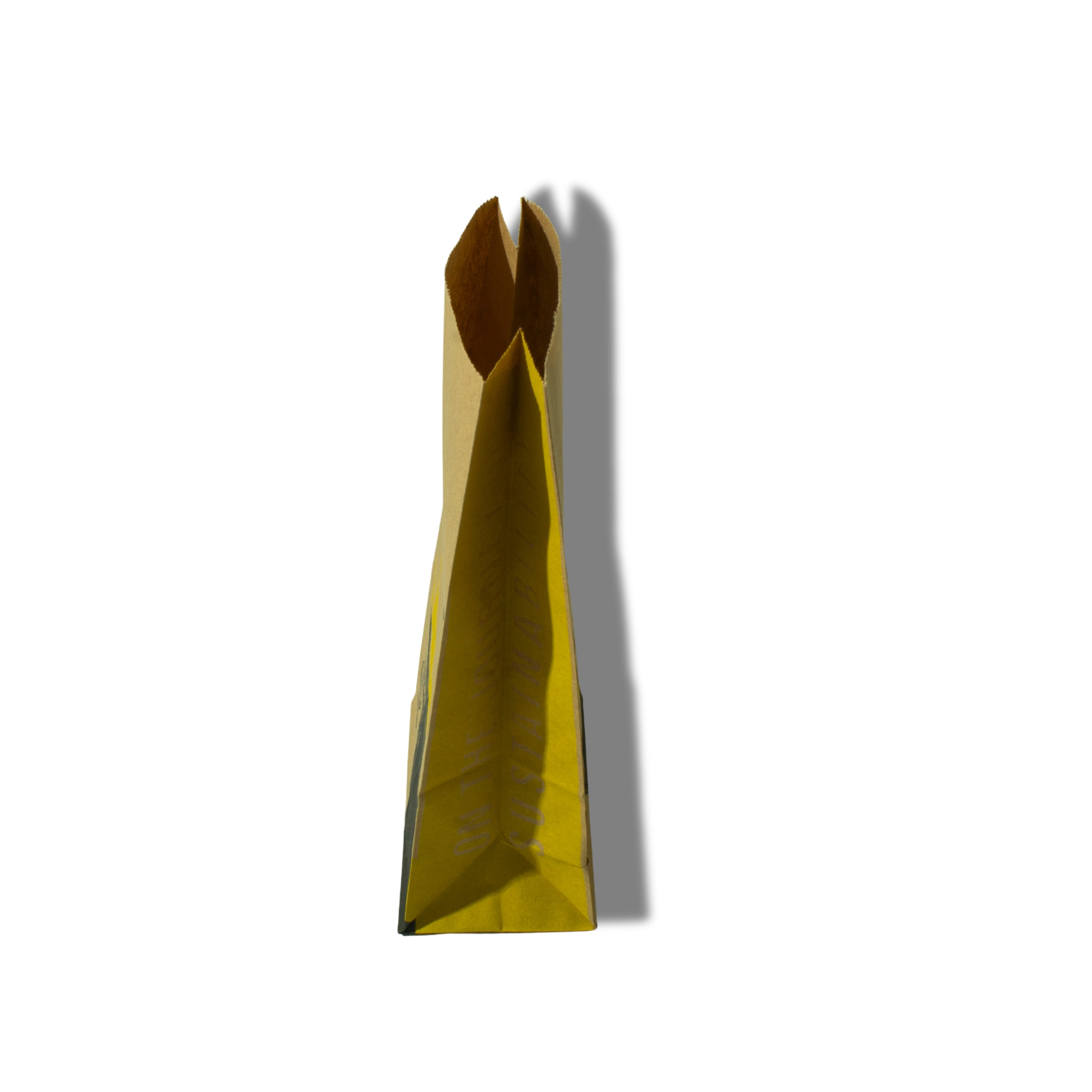 Printed Kraft Takeaway Paper Bag – Food Carrier