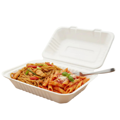 Bagasse Food Containers